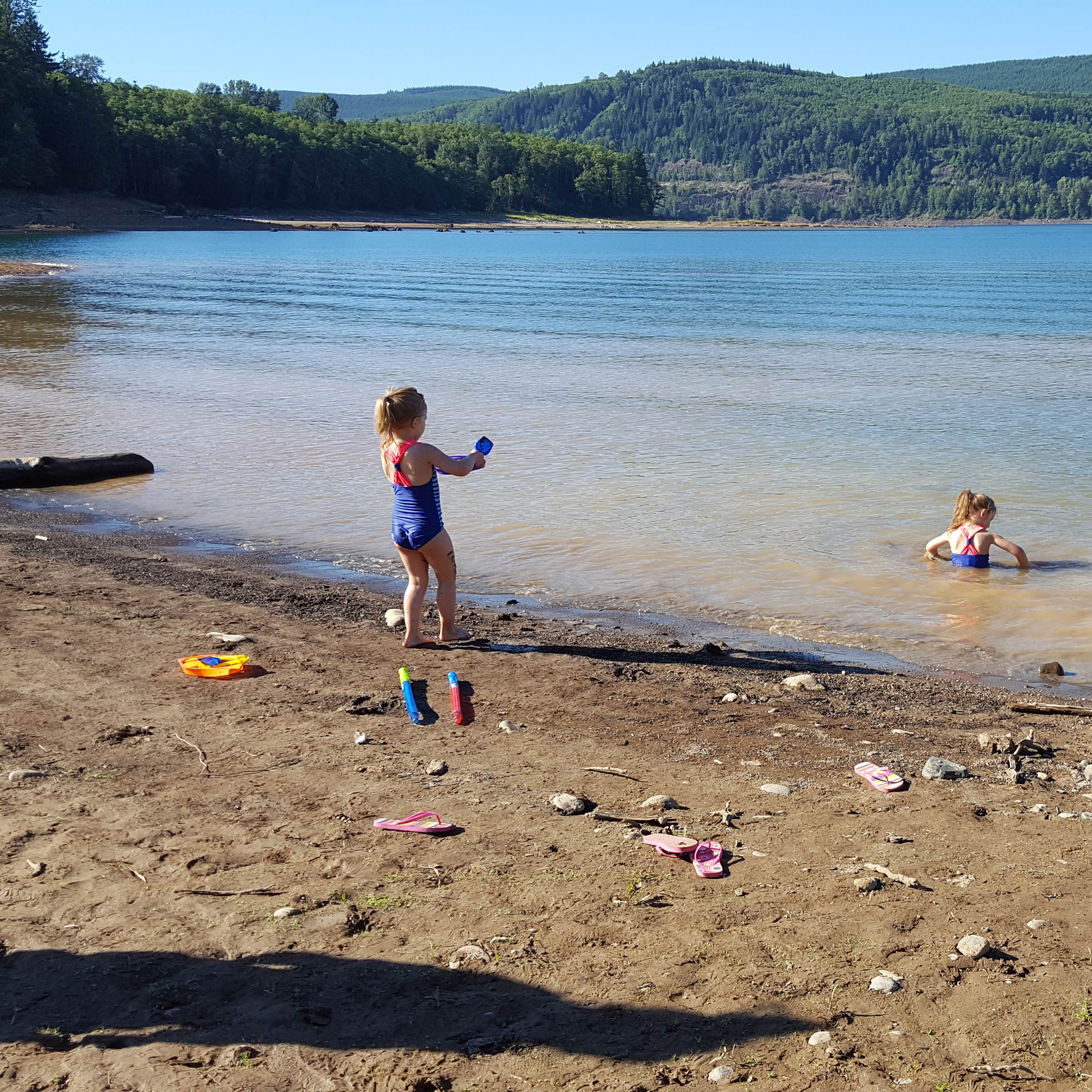 Mossyrock Park Camping The Dyrt