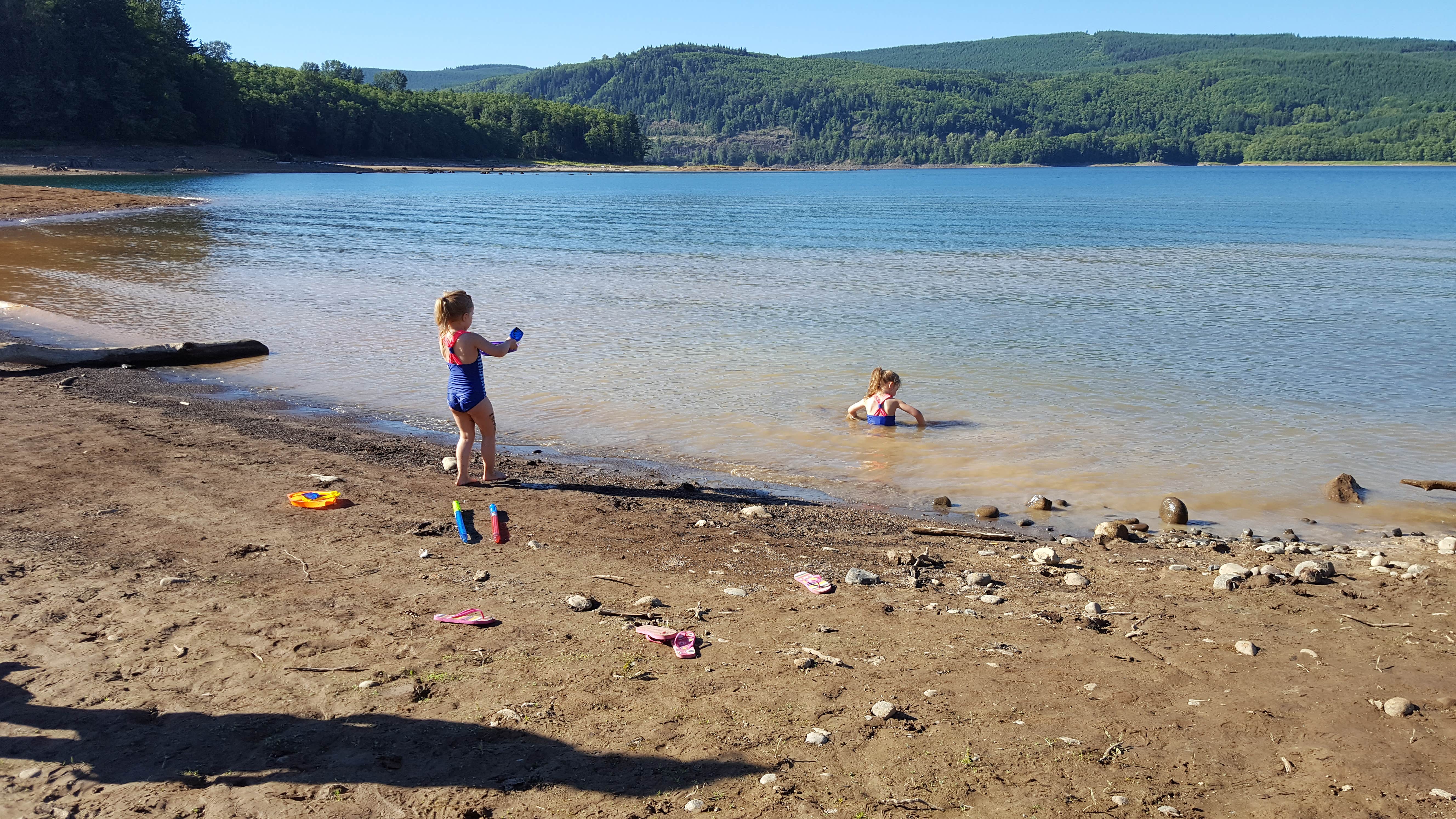 Camper submitted image from Mossyrock Park - 4