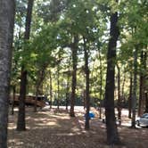 Review photo of Maumelle Park by Steve S., October 15, 2022