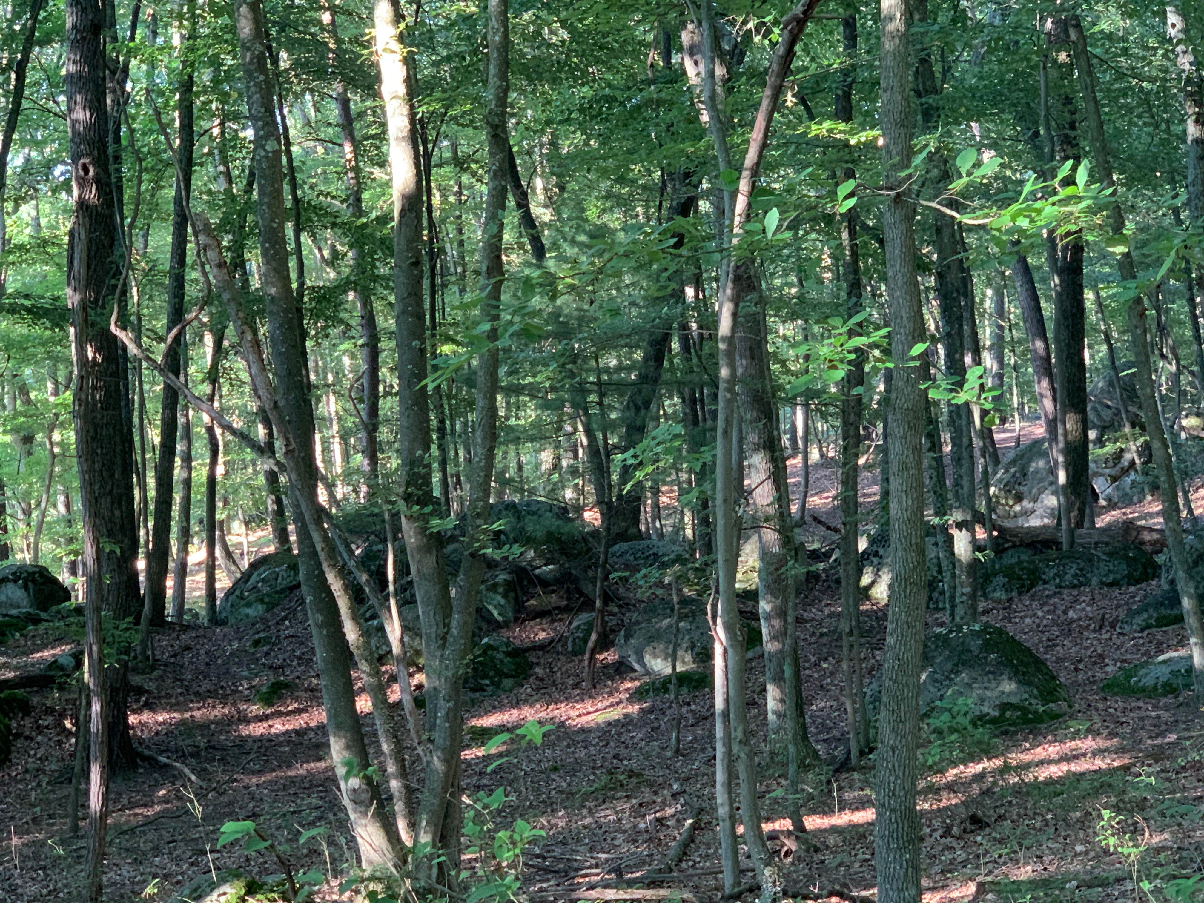 Camper-submitted photo at HylcharmFarm near Flintstone, MD