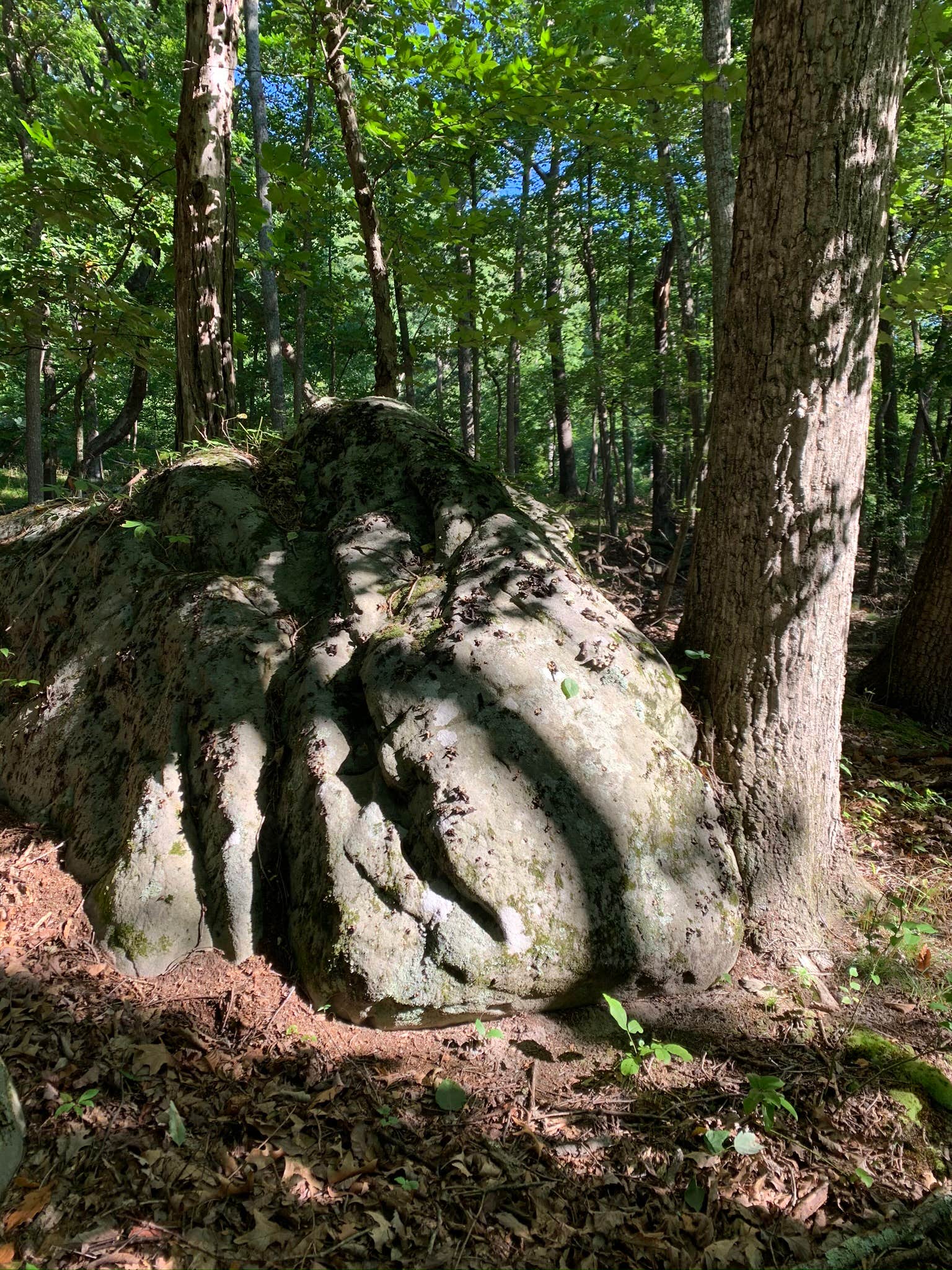 Camper-submitted photo at HylcharmFarm near Flintstone, MD