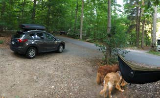 Ian S.'s photo at Cranberry Lake Campground near Hermon, NY