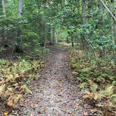 Review photo of Cedarville State Forest by moonbeans , October 15, 2022