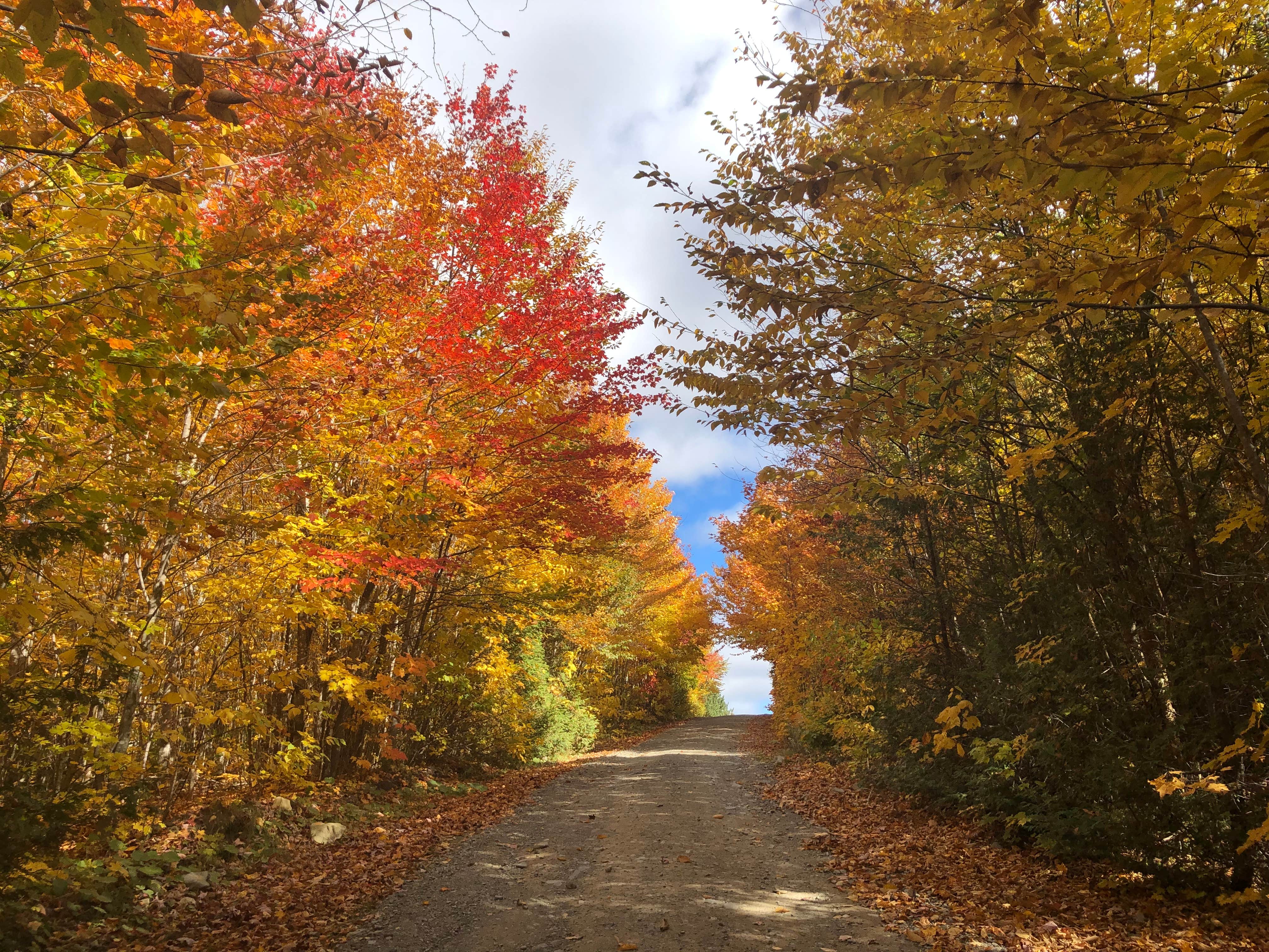Camping near Wilson Streams Area: Leisure Life Family Resort, Greenville, Maine