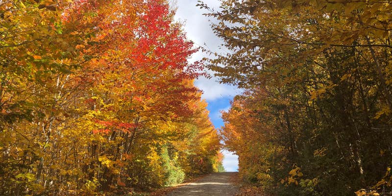 Camper submitted image from Leisure Life Family Resort