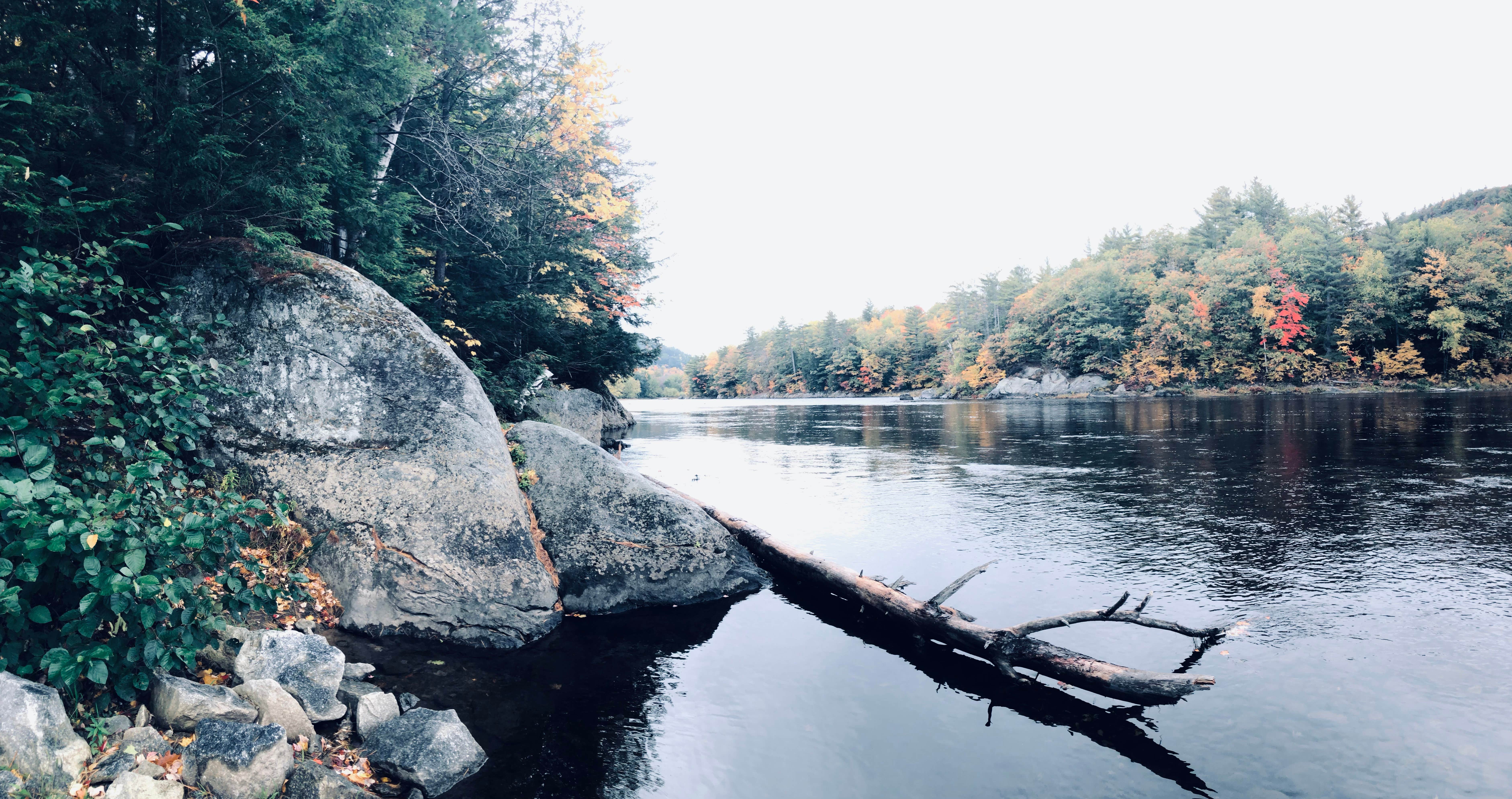 Allagash Gateway Campground And Cabins Camping The Dyrt   Allagash Gateway Campsite Fc4184b1 44b9 4bd0 8fbd 39a148eed8fe 