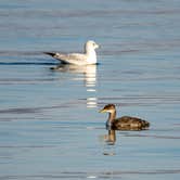 Review photo of Coulee City Community Park by Kurtis K., October 16, 2022