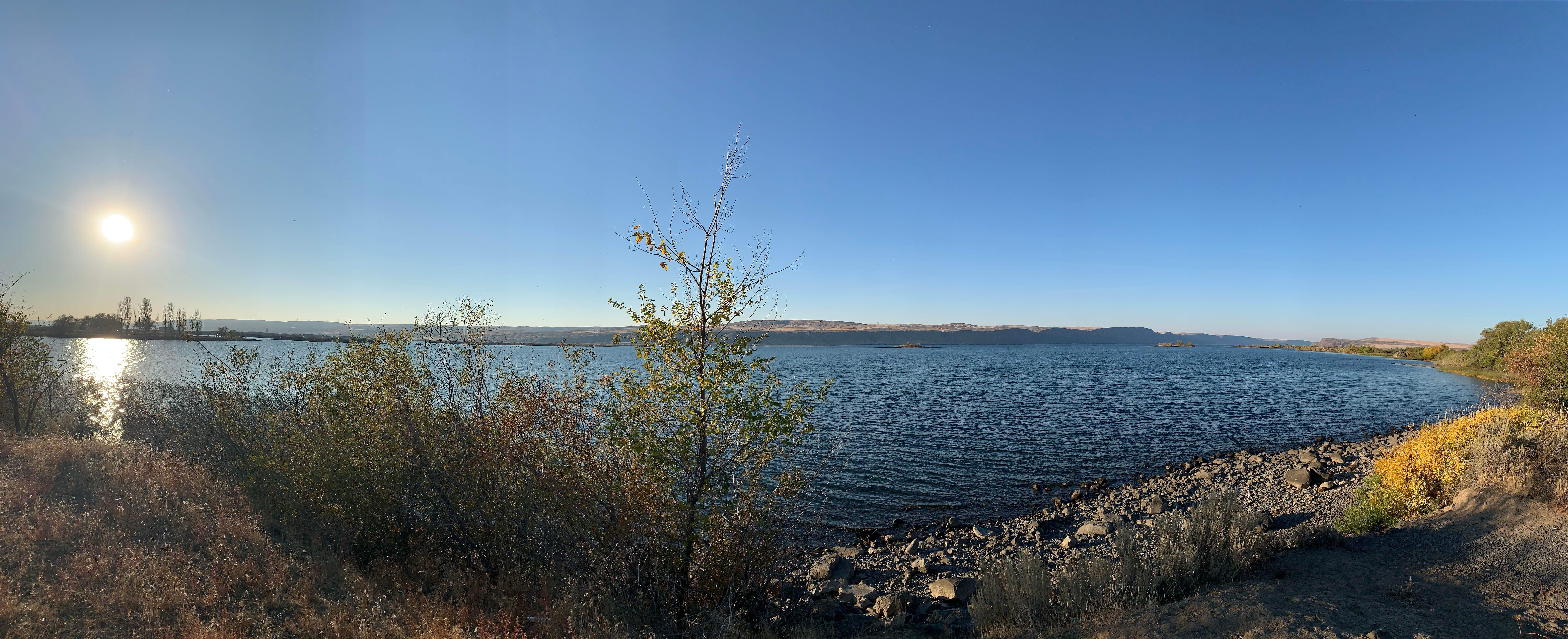 Camper submitted image from Coulee City Community Park - 2