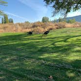 Review photo of Coulee City Community Park by Kurtis K., October 16, 2022