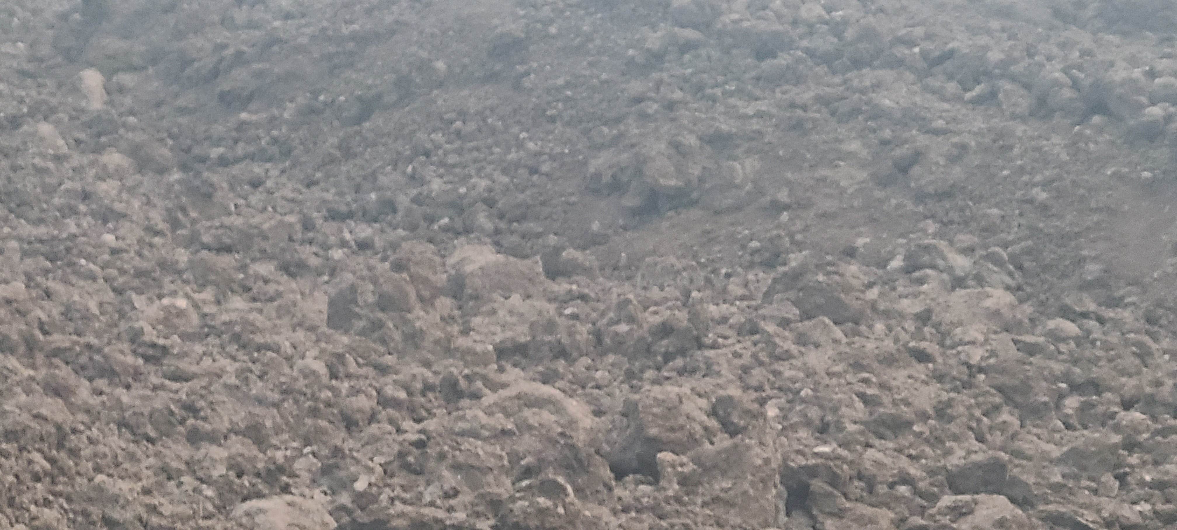 Camper-submitted photo at Ohana Hutz near Hawaii Volcanoes National Park