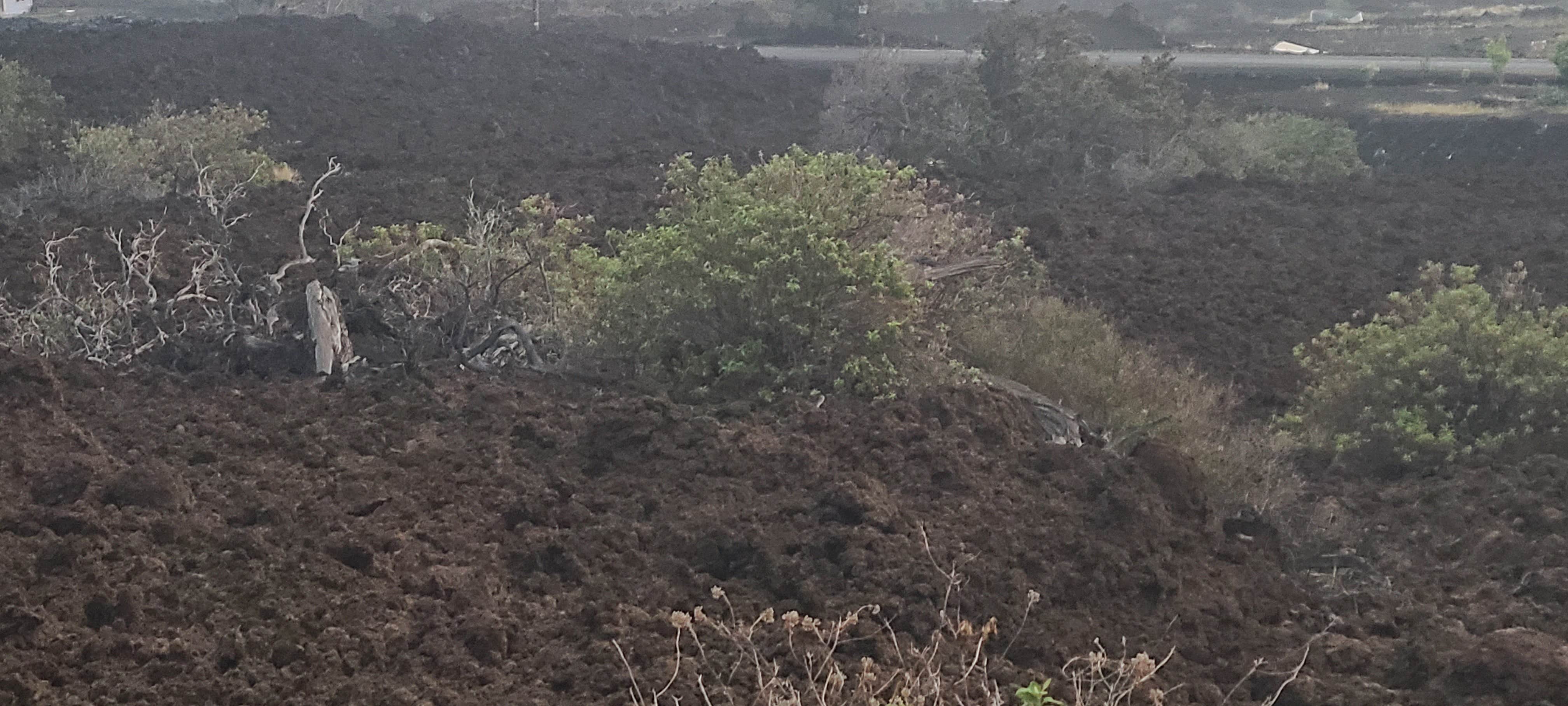 Camper-submitted photo at Ohana Hutz near Hawaii Volcanoes National Park