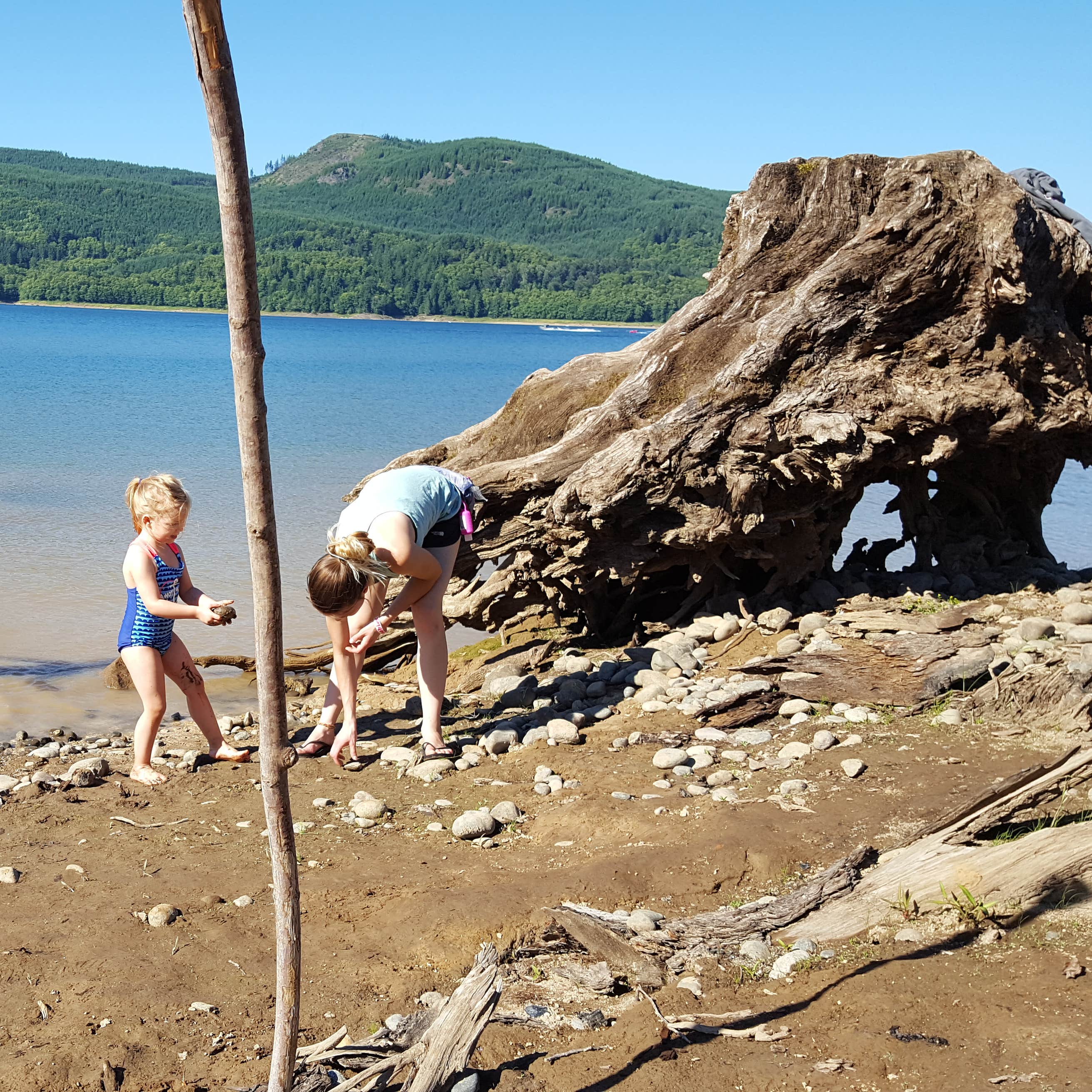 Mossyrock Park Camping The Dyrt