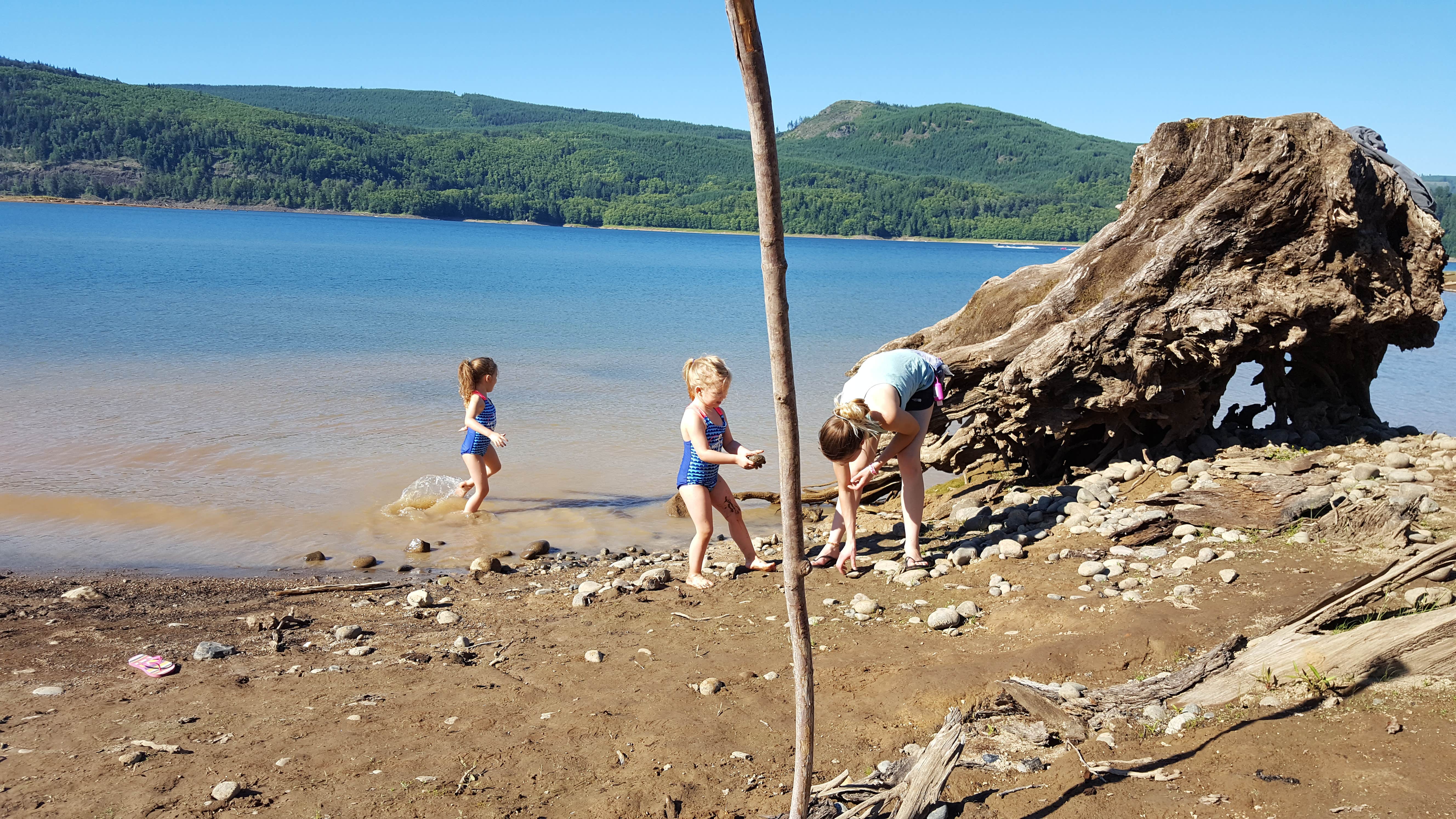 Camper submitted image from Mossyrock Park - 2