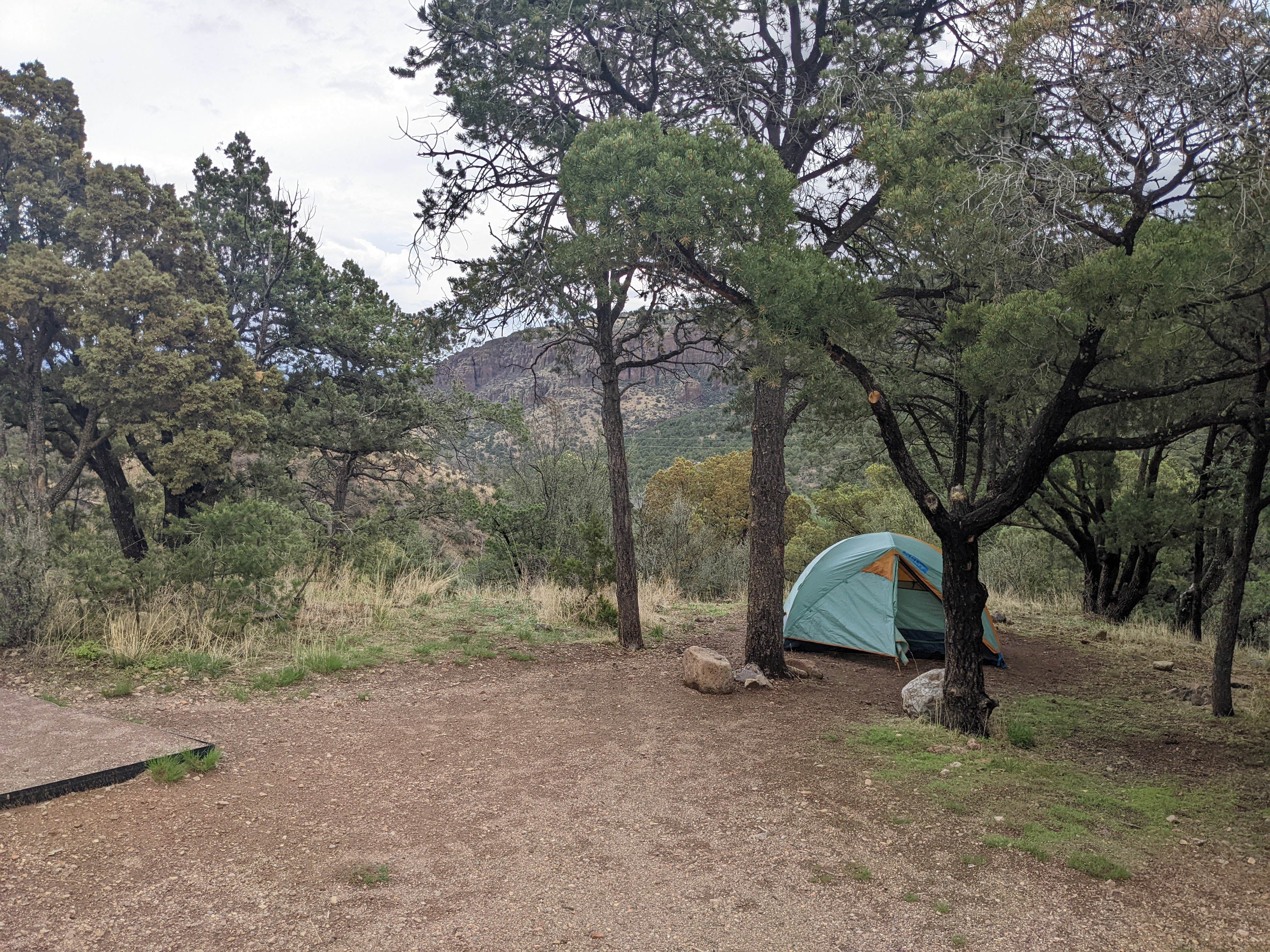 Patrick B.'s photo at Water Canyon Campground near Lemitar, NM