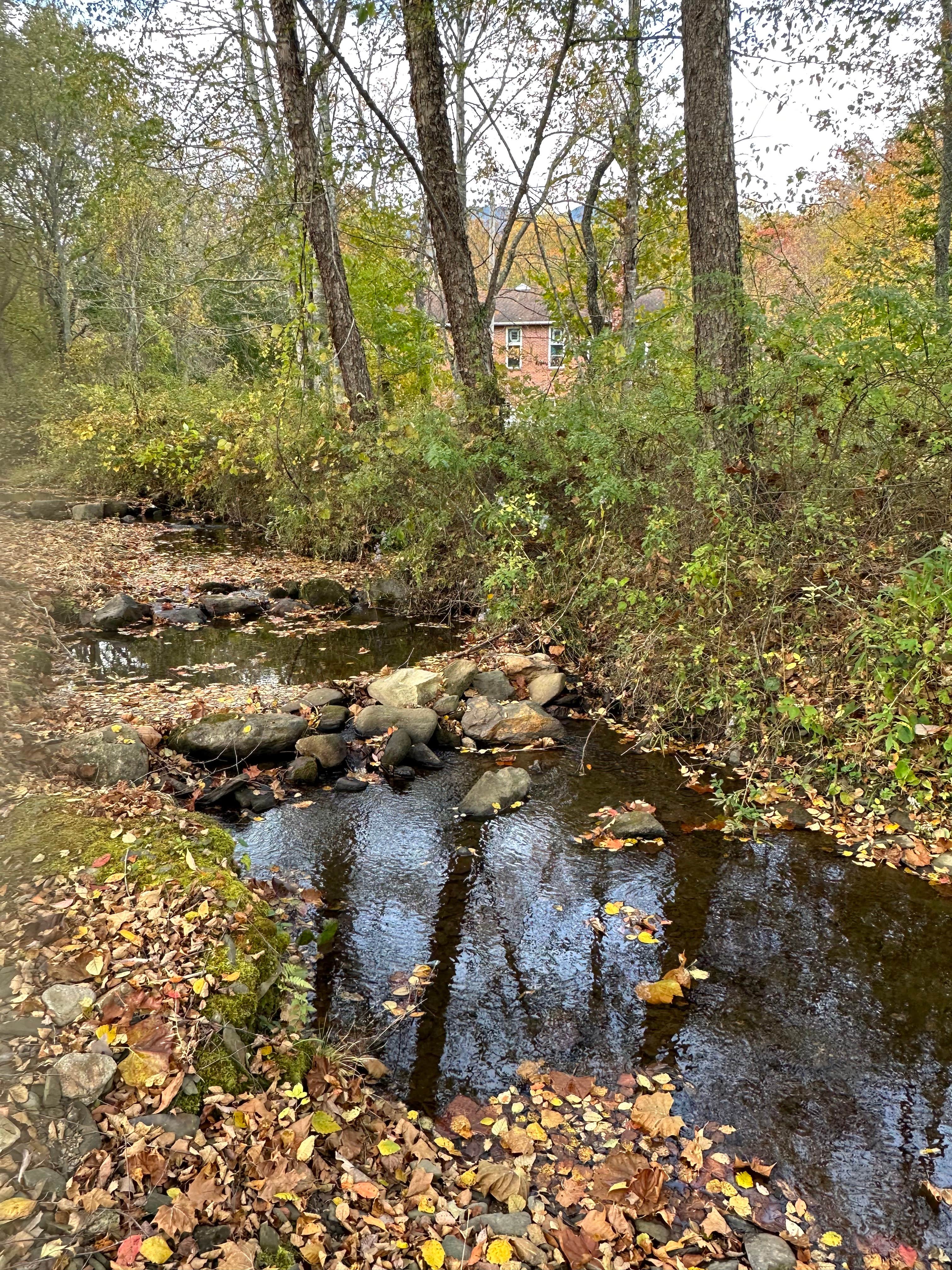 Camper-submitted photo at Granny's Place RV Resort near Flag Pond, TN