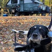 Review photo of Tomlinson Run State Park Campground by Shannon G., October 16, 2022