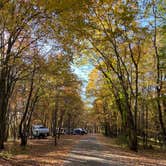 Review photo of Tomlinson Run State Park Campground by Shannon G., October 16, 2022