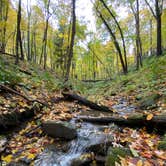 Review photo of Tomlinson Run State Park Campground by Shannon G., October 16, 2022