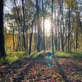 Review photo of Tomlinson Run State Park Campground by Shannon G., October 16, 2022