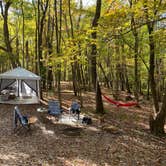 Review photo of Tomlinson Run State Park Campground by Shannon G., October 16, 2022