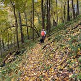 Review photo of Tomlinson Run State Park Campground by Shannon G., October 16, 2022