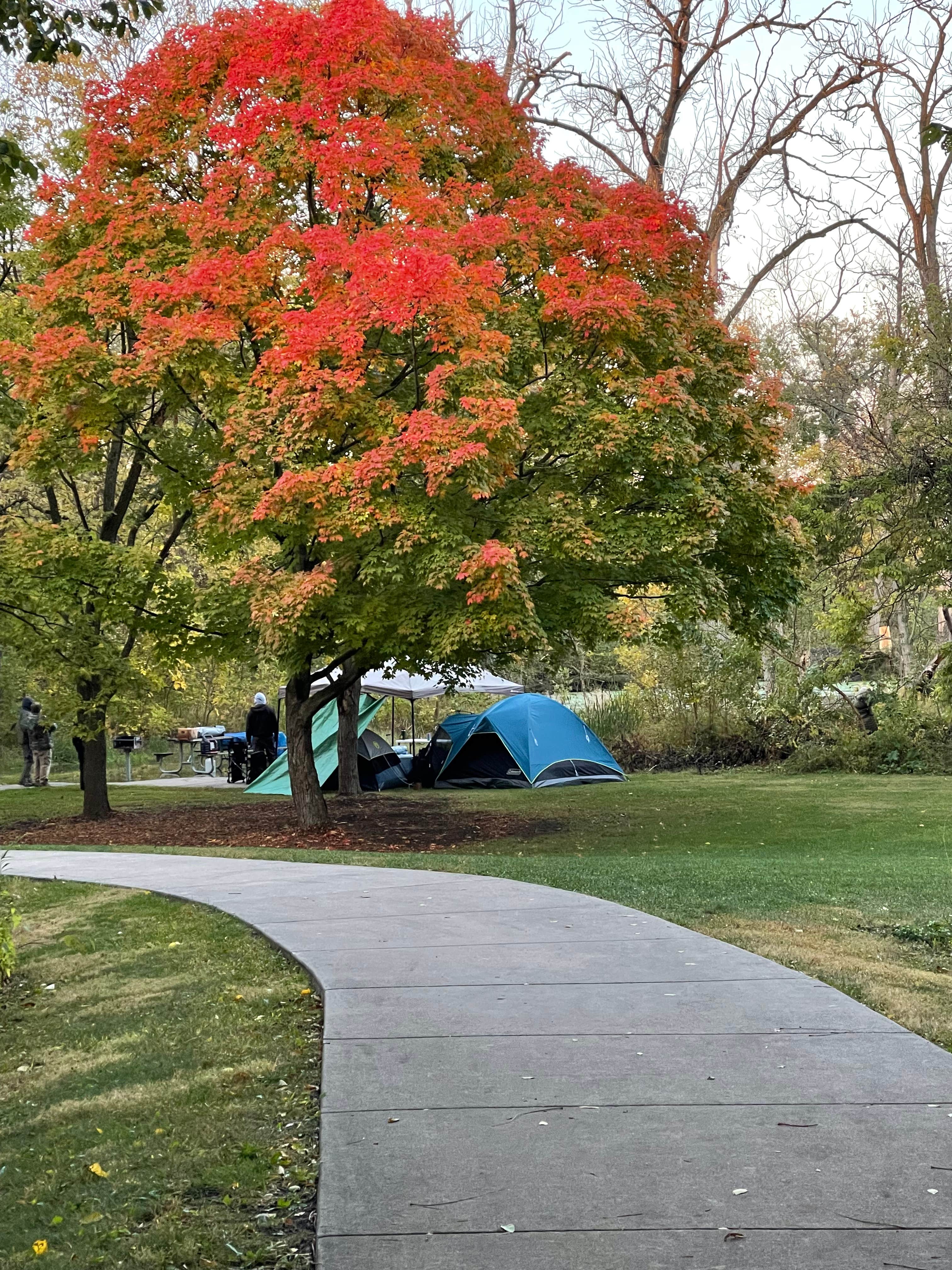 Rita S.'s photo of tent camping at McKinley Woods: Frederick's Grove near Bartlett, IL