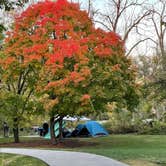 Review photo of McKinley Woods: Frederick's Grove by Rita S., October 16, 2022