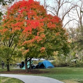 Review photo of McKinley Woods:  Frederick's Grove by Rita S., October 16, 2022
