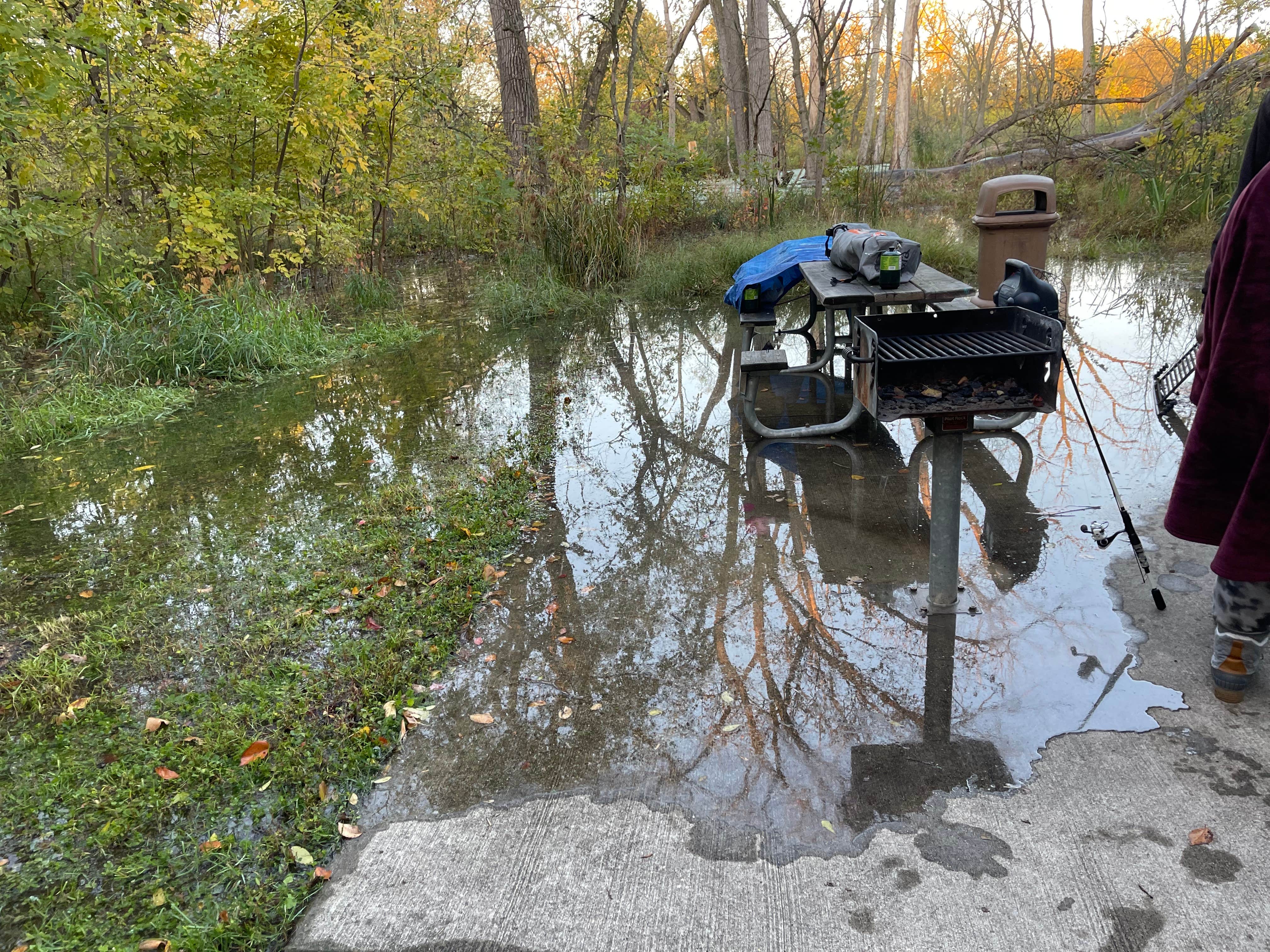 McKinley Woods: Frederick's Grove