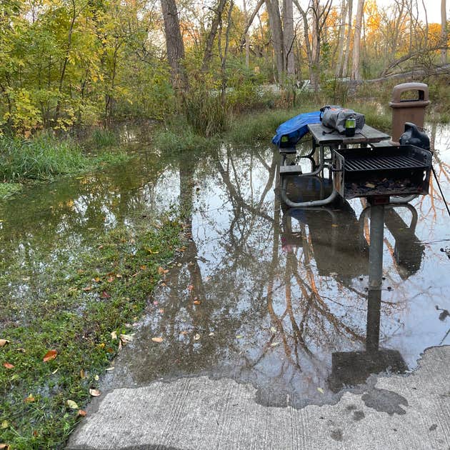 McKinley Woods Frederick's Grove Camping Channahon, IL