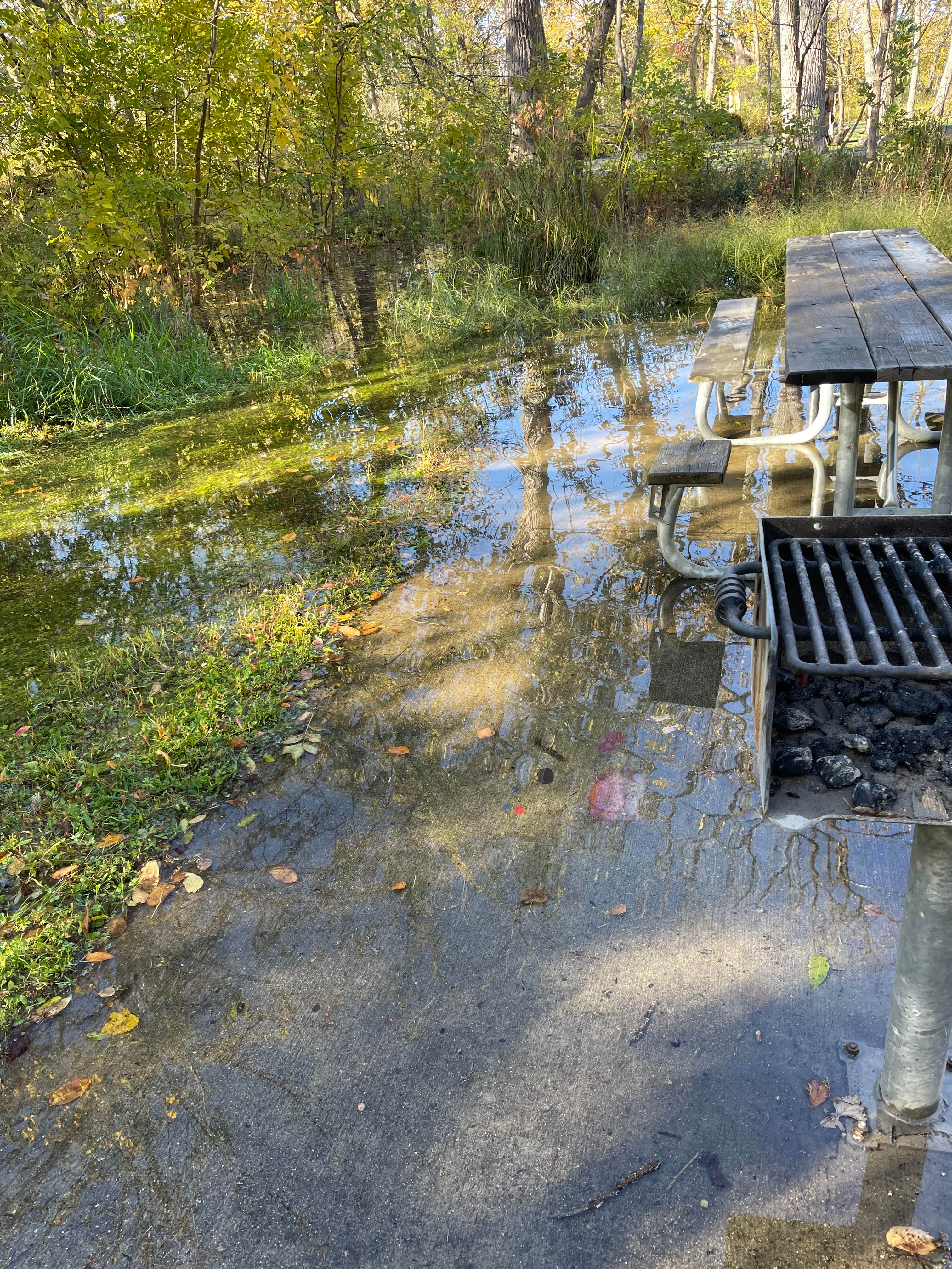 McKinley Woods: Frederick's Grove