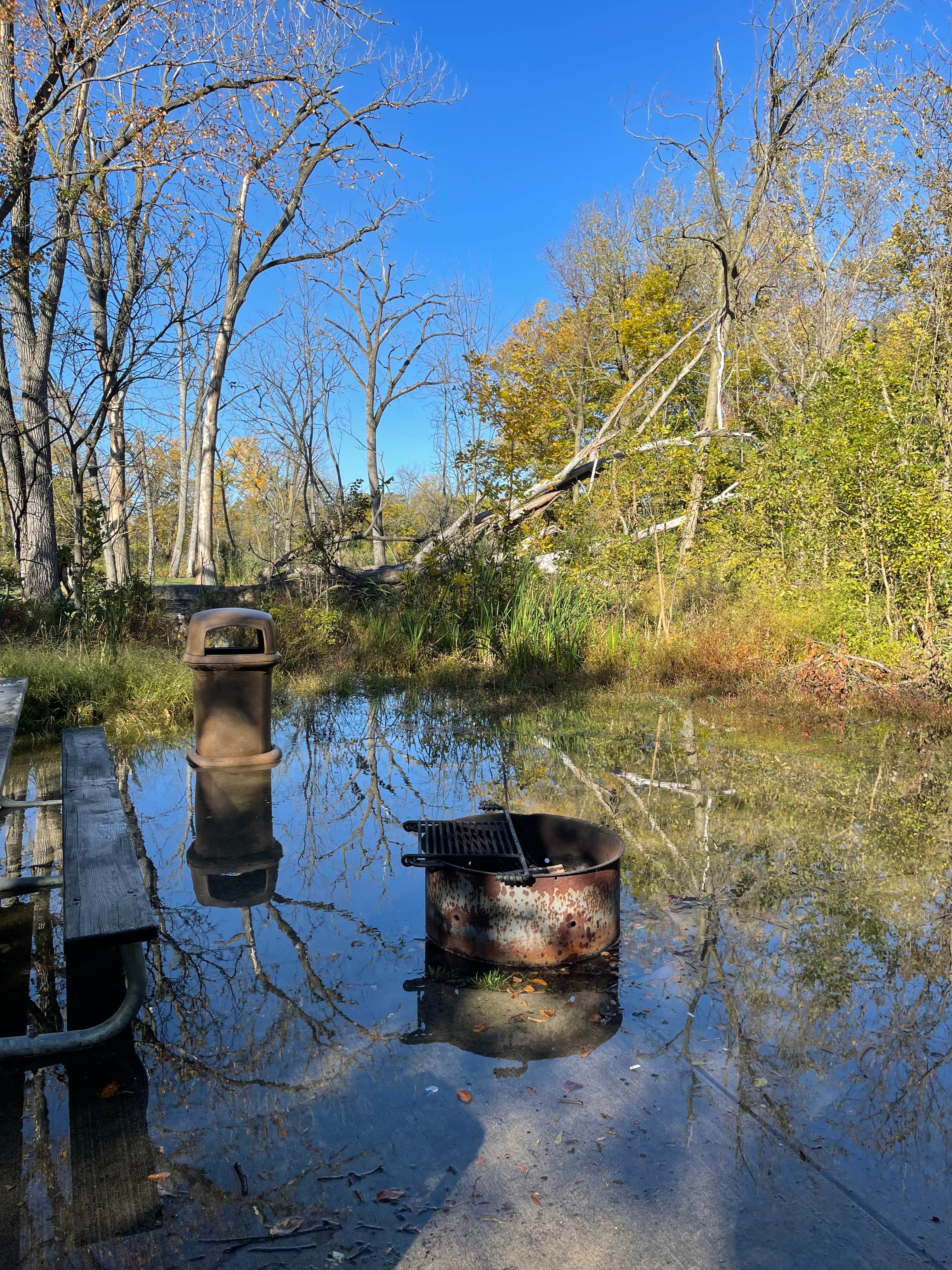 Camper-submitted photo at McKinley Woods: Frederick's Grove near Morris, IL