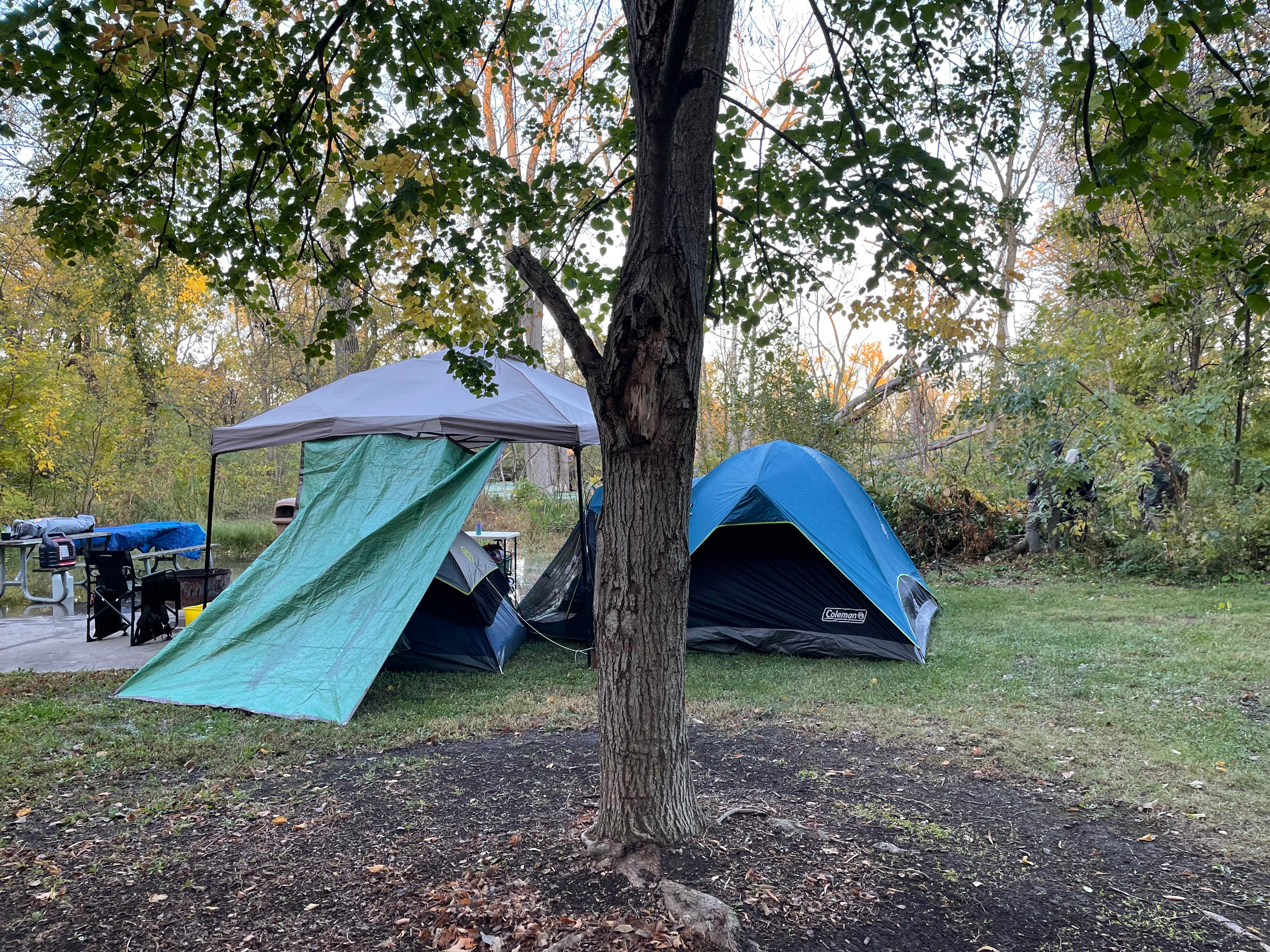 Camper-submitted photo at McKinley Woods: Frederick's Grove near Bartlett, IL