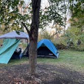 Review photo of McKinley Woods: Frederick's Grove by Rita S., October 16, 2022