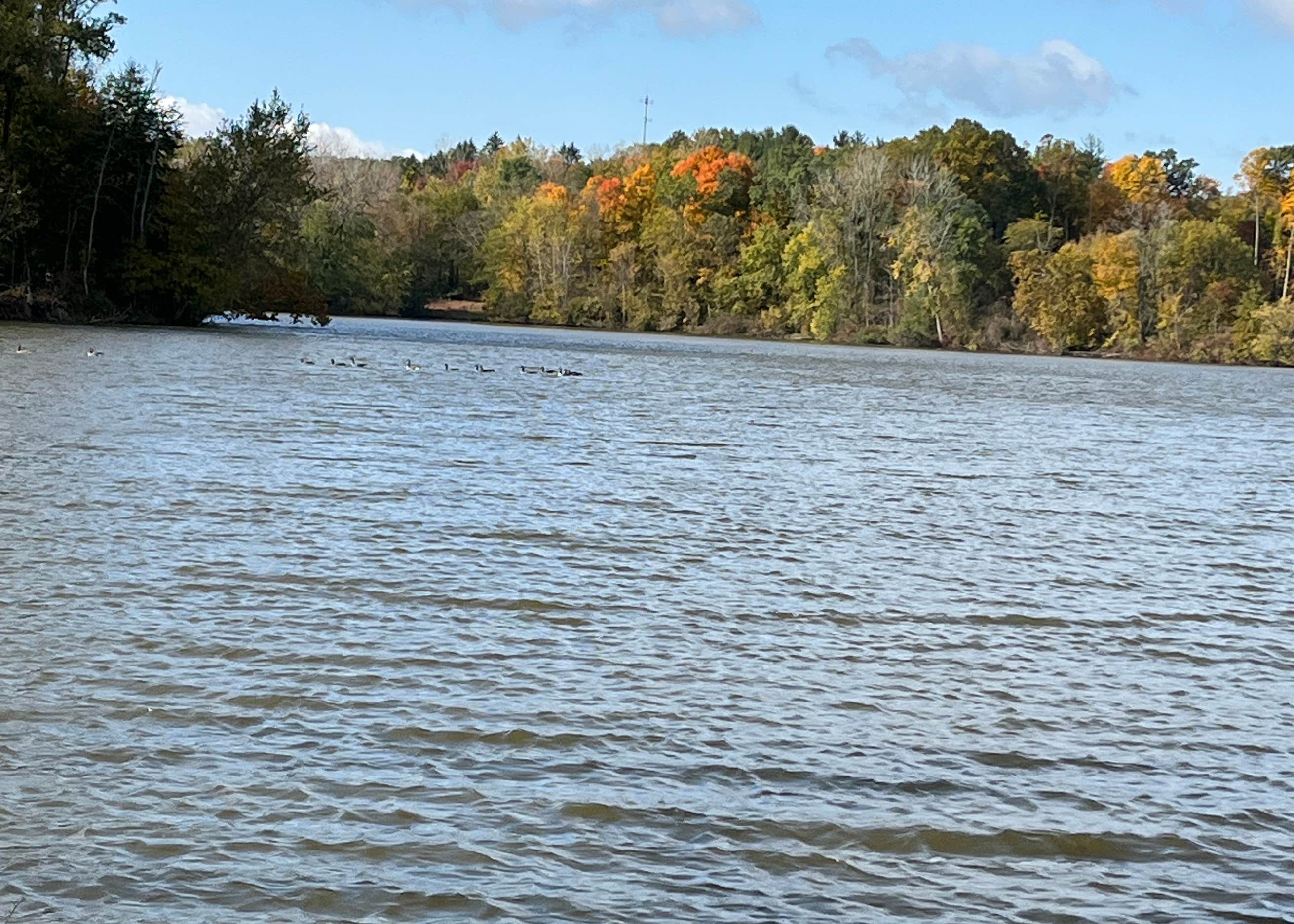 Charles Mill Lake Park Campground Camping The Dyrt