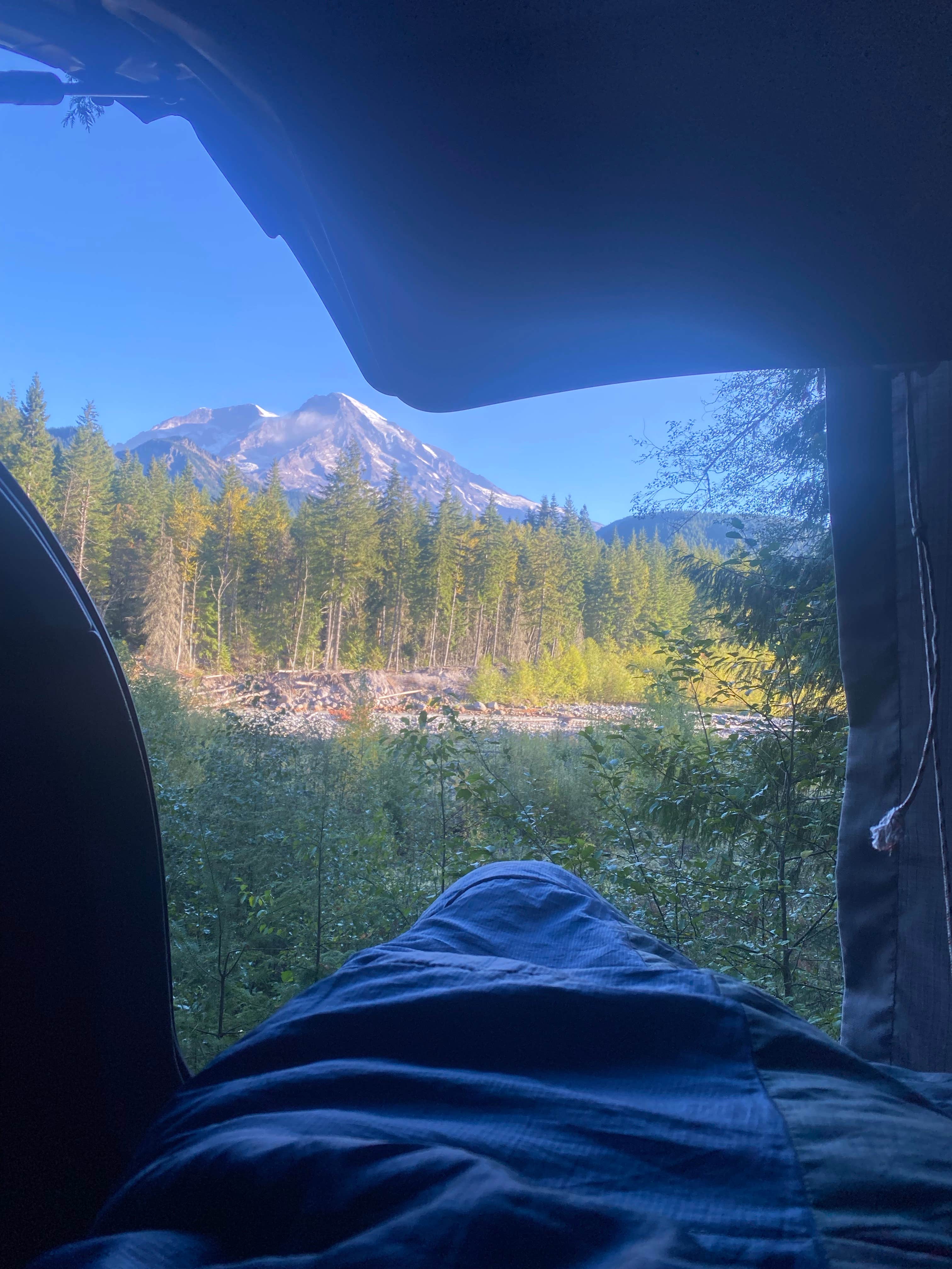 Caroline E.'s photo of a dispersed camping area at Skate Creek Dispersed near Lake Tapps, WA