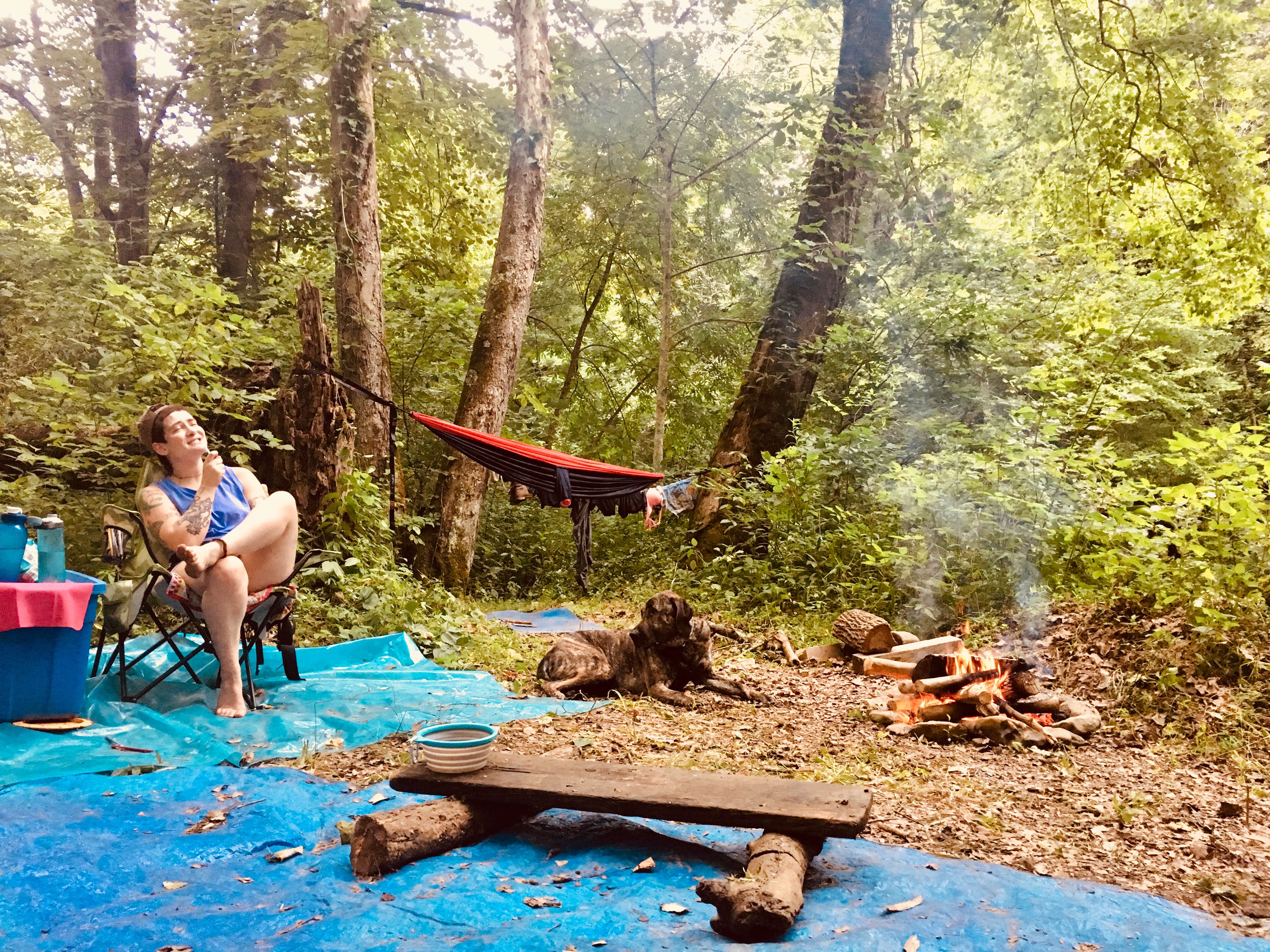 Amy B.'s photo of camping with pets at Red River Gorge Campground near Richmond, KY