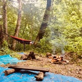 Review photo of Red River Gorge Campground by Amy B., September 7, 2018