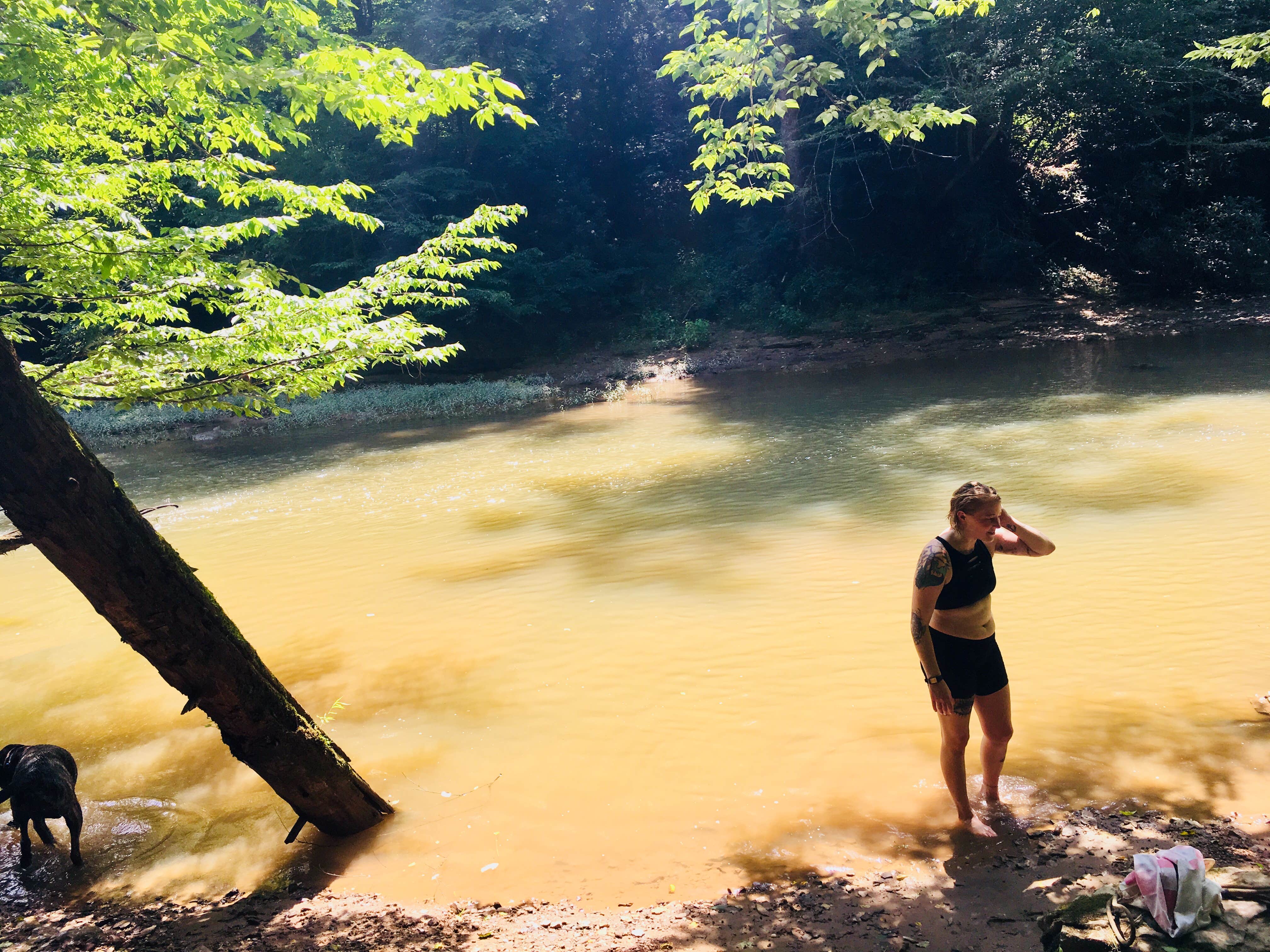 Camper submitted image from Red River Gorge Campground - 4