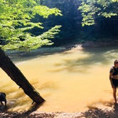 Review photo of Red River Gorge Campground by Amy B., September 7, 2018