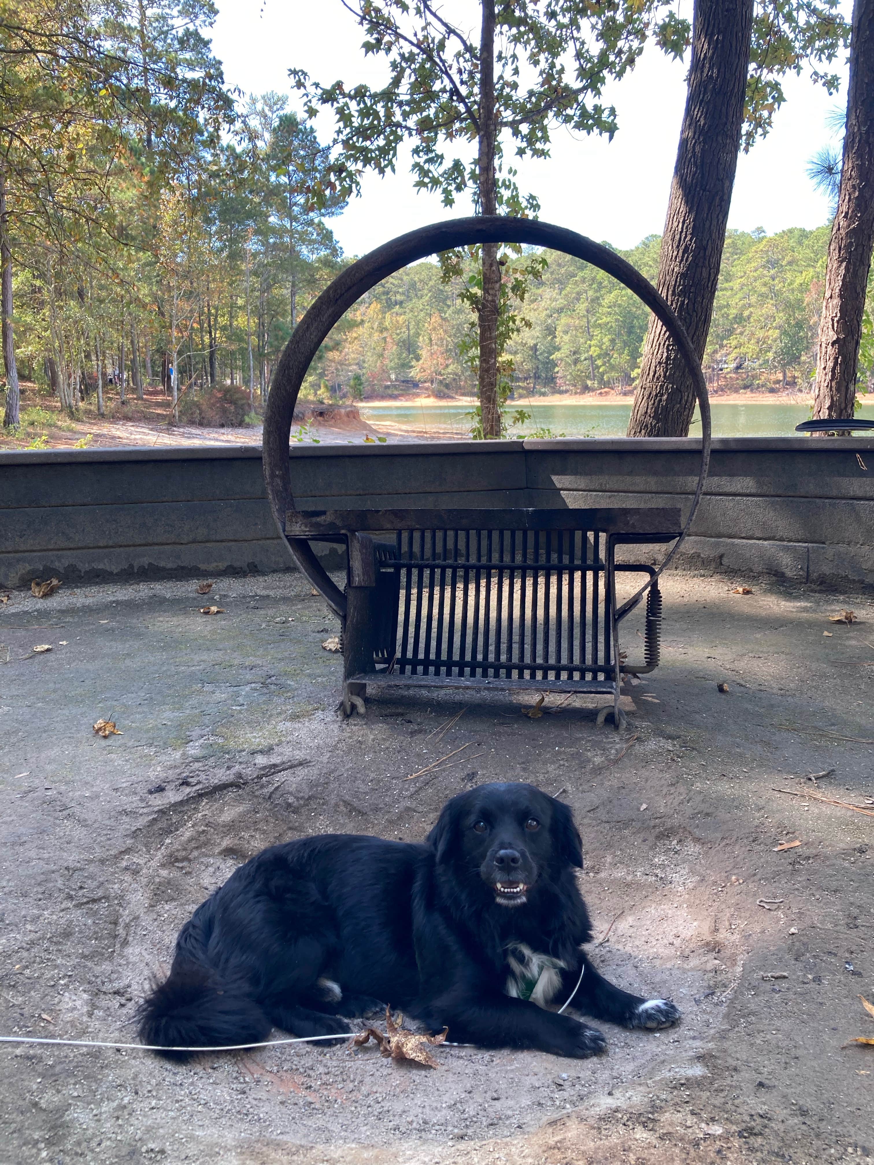 Kevin H.'s photo of camping with pets at Petersburg near J. Strom Thurmond Lake