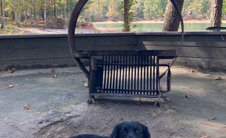 Kevin H.'s photo of camping with pets at Petersburg near Ninety Six, SC