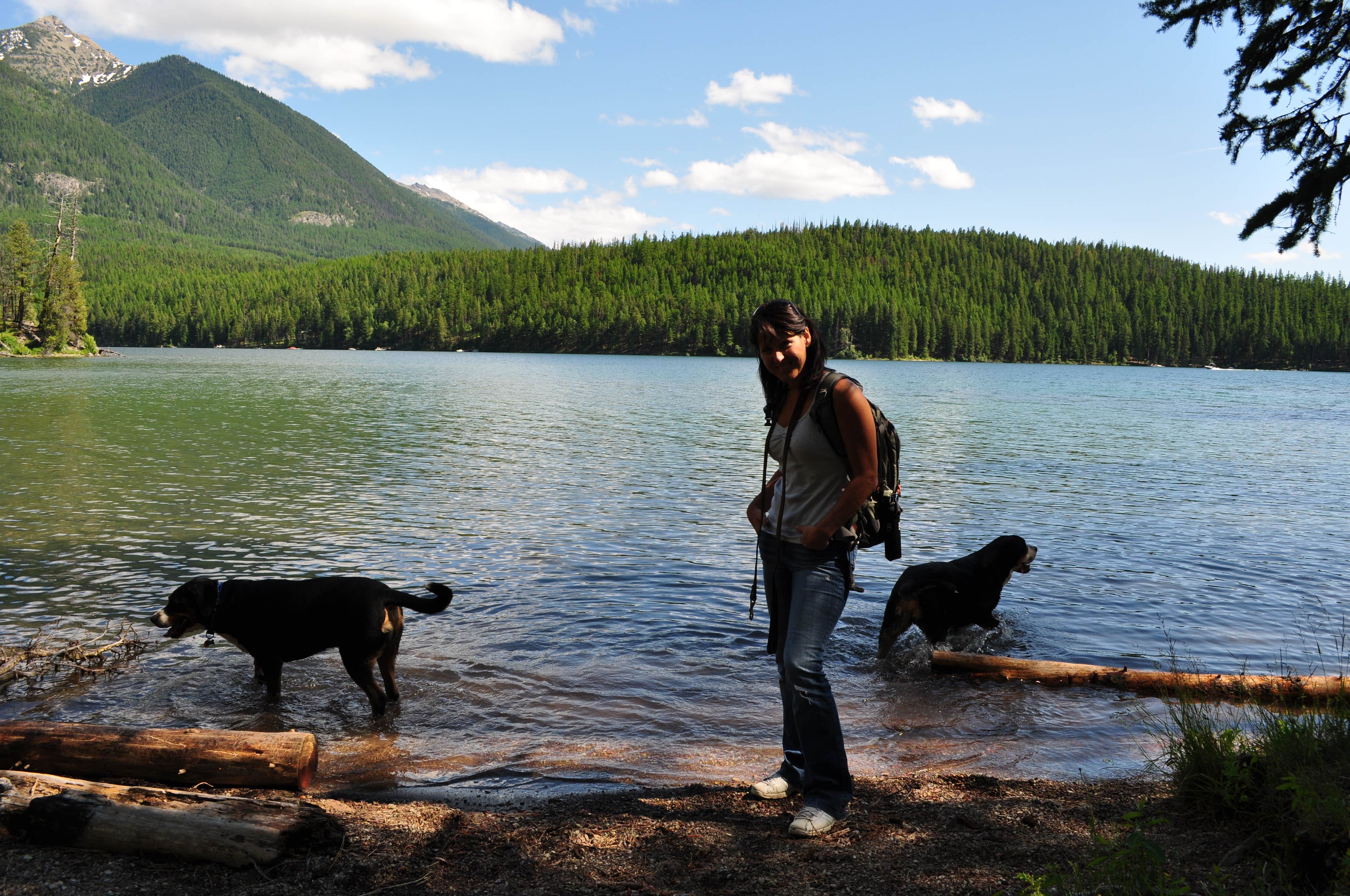Carmen H.'s photo of camping with pets at Holland Lake Campground near Condon, MT