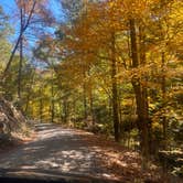 Review photo of Ball Field Dispersed Camping Area by Gabrielle D., October 16, 2022