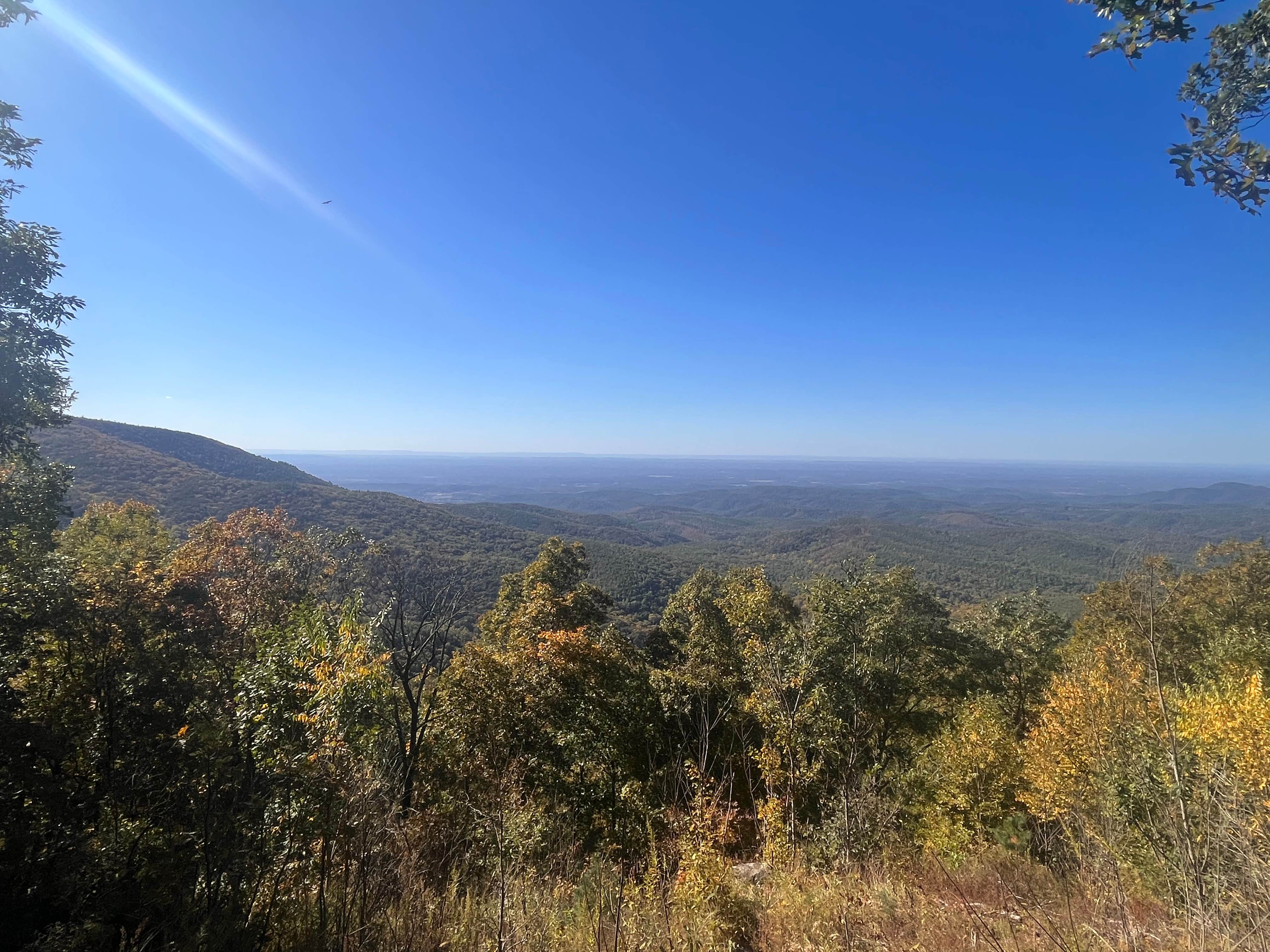 Camper-submitted photo at Ball Field Dispersed Camping Area near Chatsworth, GA