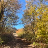 Review photo of Ball Field Dispersed Camping Area by Gabrielle D., October 16, 2022