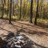 Review photo of Ball Field Dispersed Camping Area by Gabrielle D., October 16, 2022