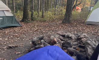Gabrielle D.'s photo at Ball Field Dispersed Camping Area near Cisco, GA
