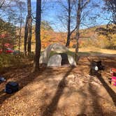 Review photo of Ball Field Dispersed Camping Area by Gabrielle D., October 16, 2022