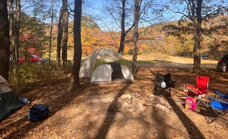 Camper-submitted photo from Ball Field Dispersed Camping Area